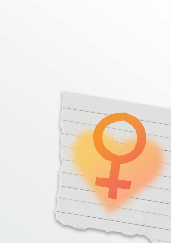 Истражување за пристапот и функционалноста на системот за заштита на жените Ромки, жртви на родово базирано насилство и се